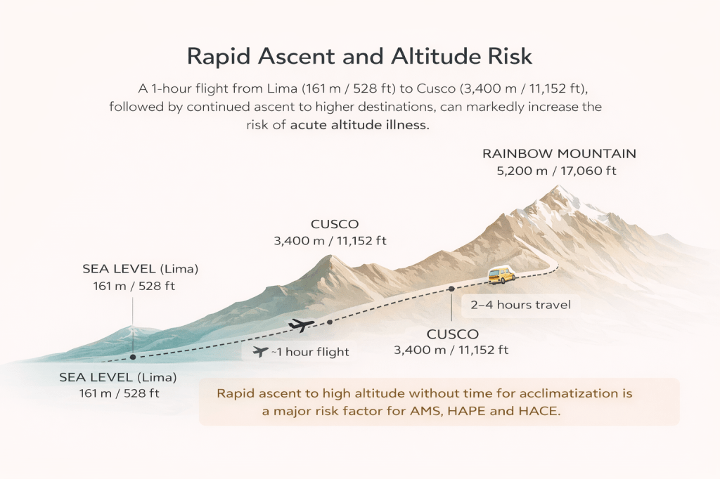 Rapid ascent from Lima (161 m / 528 ft) to Cusco (3,400 m / 11,152 ft) and subsequent travel to higher elevations in the Andes can significantly increase the risk of acute altitude illness due to insufficient time for physiological acclimatization. Conceptual illustration created for educational purposes.